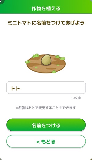 KAUCHE画像