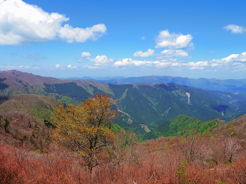 池木屋山画像