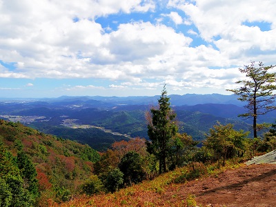 烏岳画像