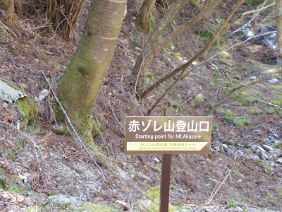 木梶山画像