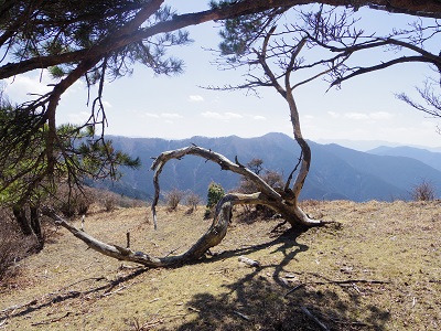 木梶山画像