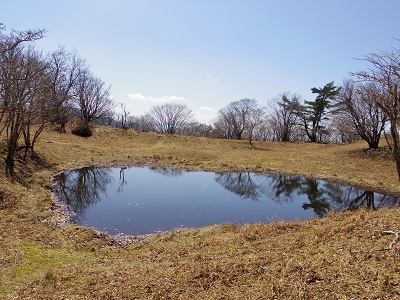 木梶山画像