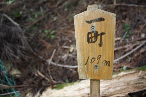 三峰山画像