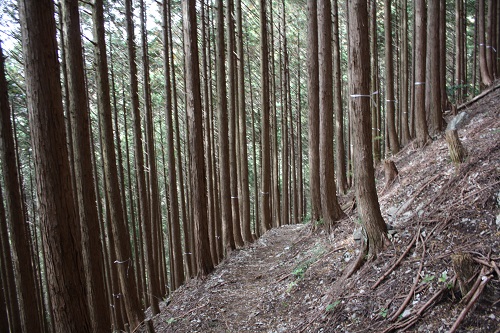 三峰山画像