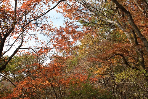 三峰山画像