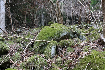 局ヶ岳画像