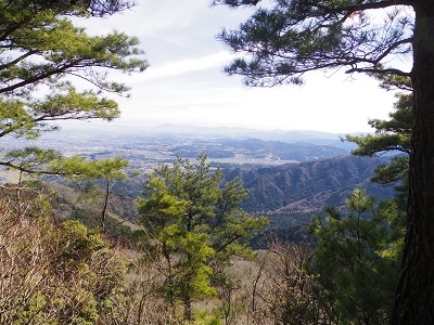 堀坂山画像