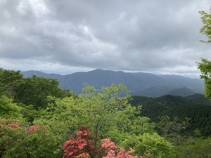 堀坂山画像