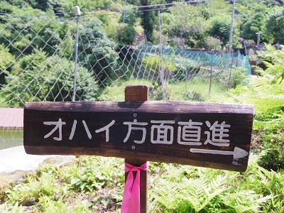 オハイ画像