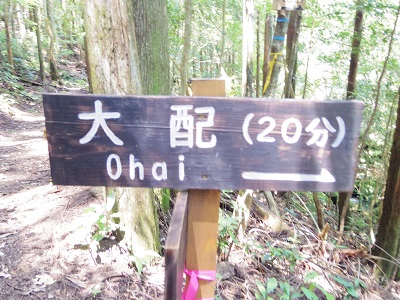 オハイ画像