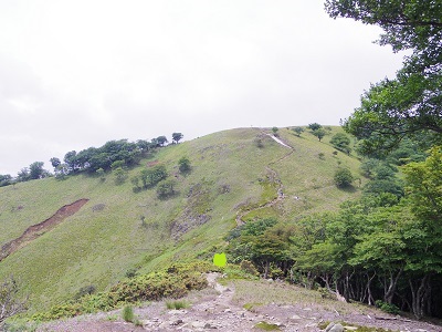 竜ヶ岳画像