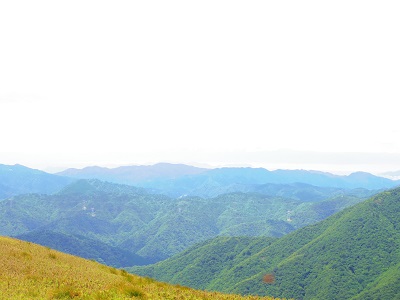 竜ヶ岳画像