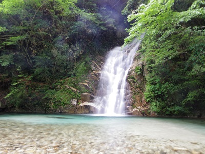 竜ヶ岳画像