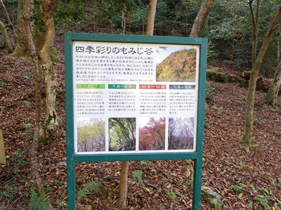 網掛山画像