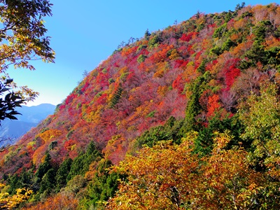 網掛山画像